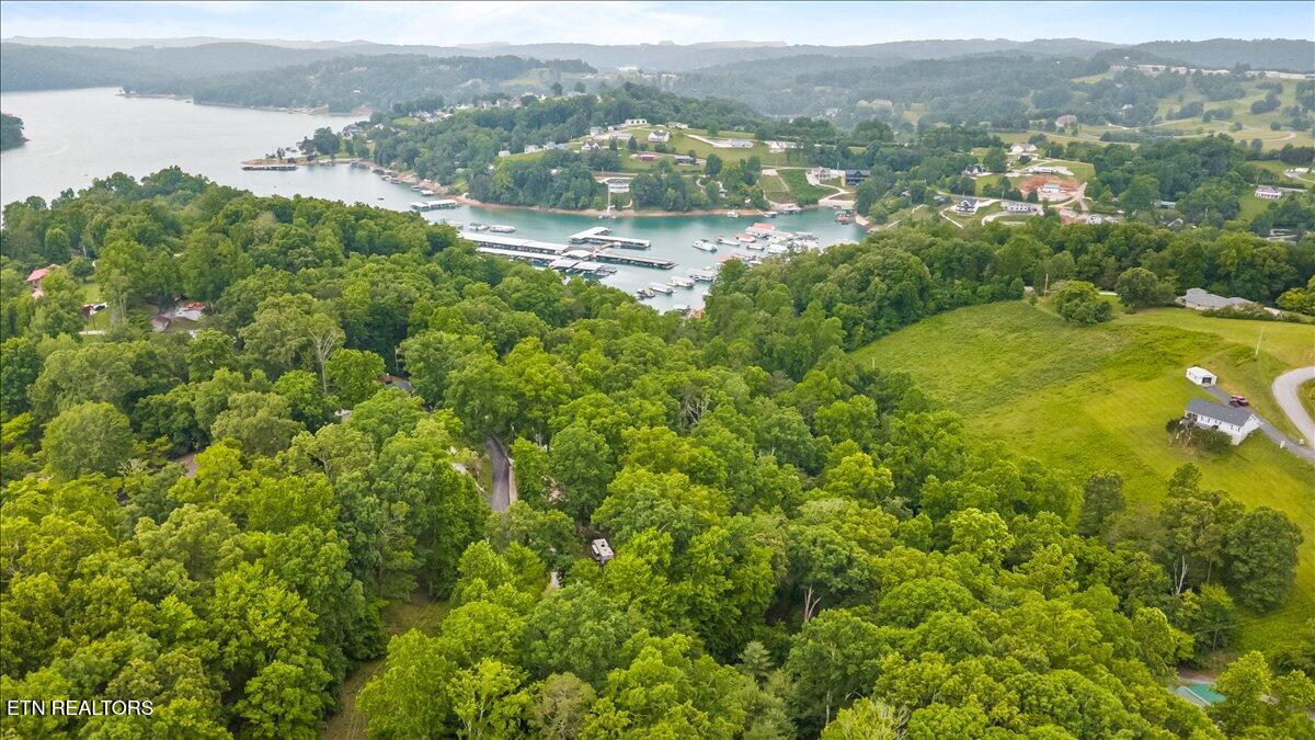 274 Pearl Rd, LaFollette