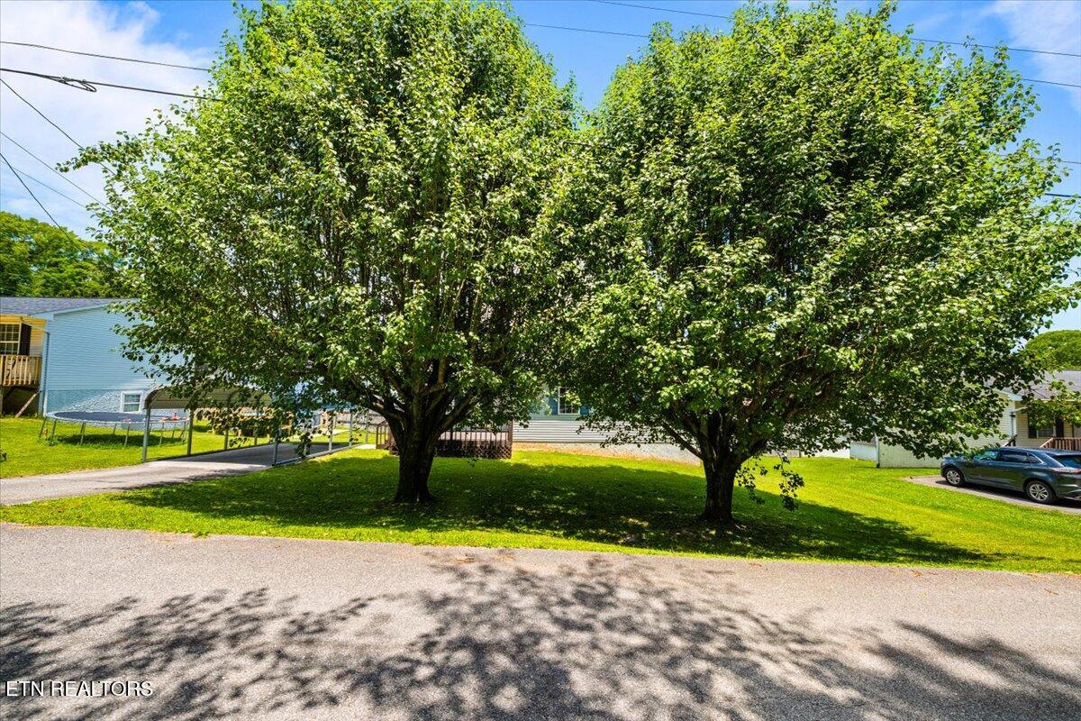 105 Jessica Lane, LaFollette