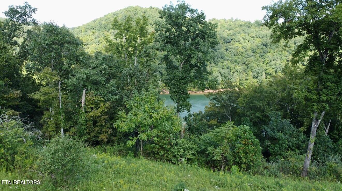 TBD Mariner Point Rd Rd, LaFollette