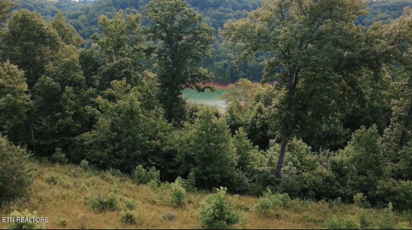 TBD Mariner Point Rd Rd, LaFollette