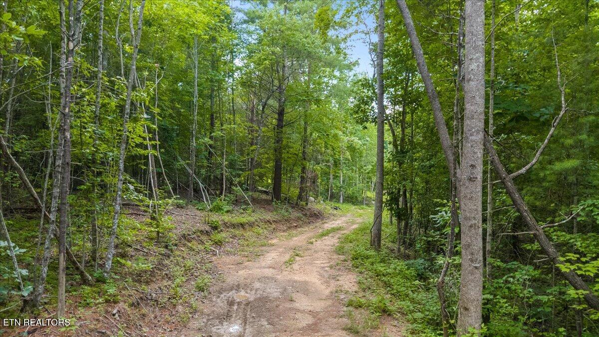 638 Jane Phillips Rd
