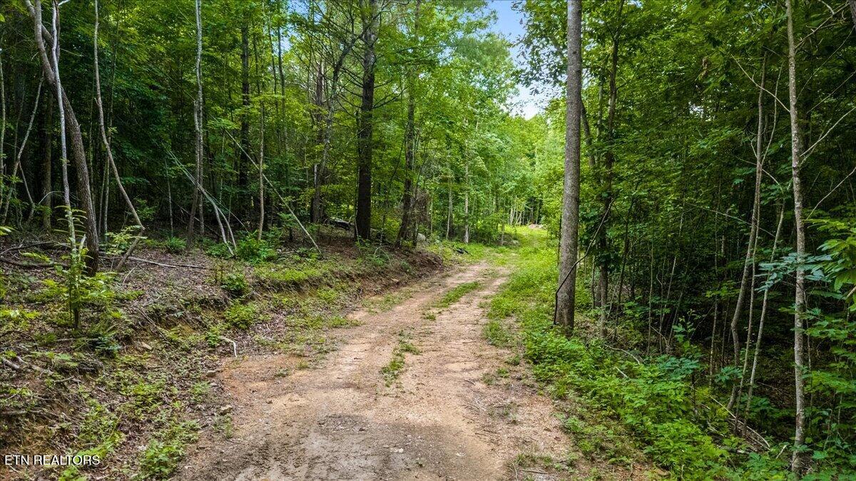 638 Jane Phillips Rd