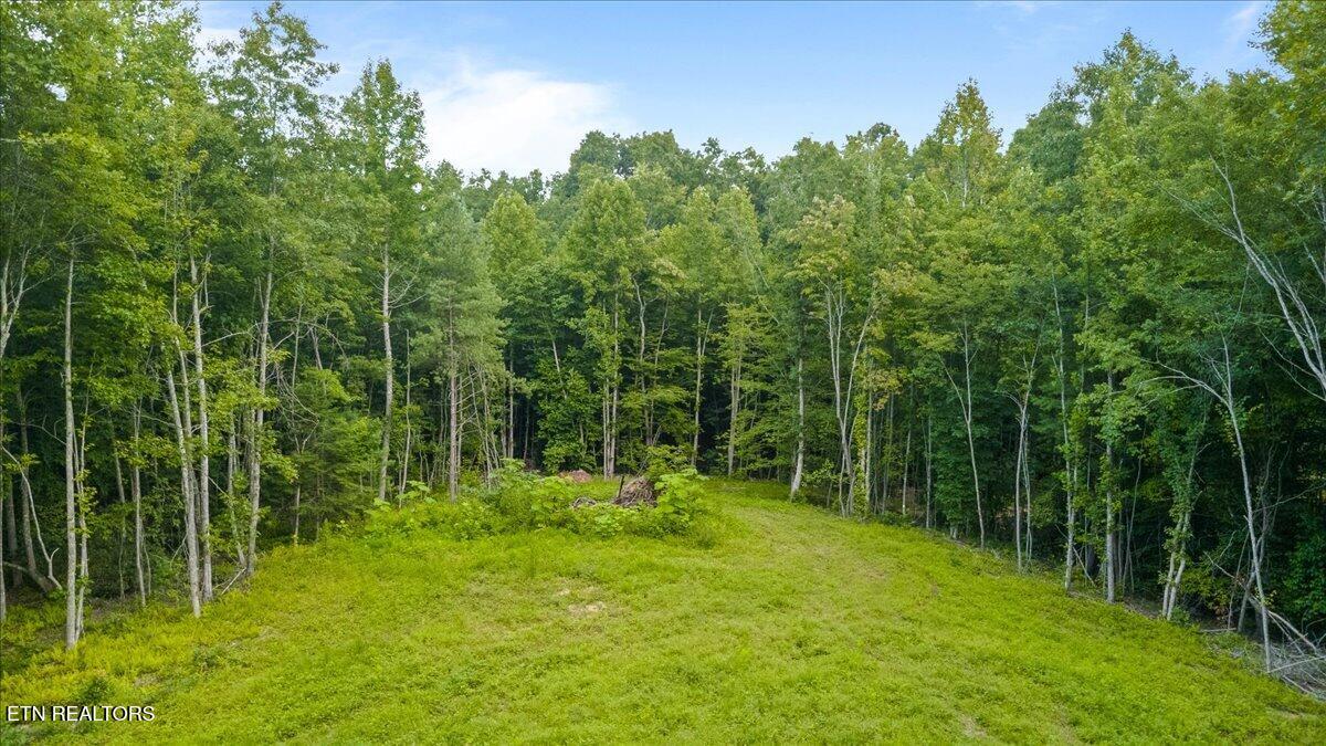 638 Jane Phillips Rd