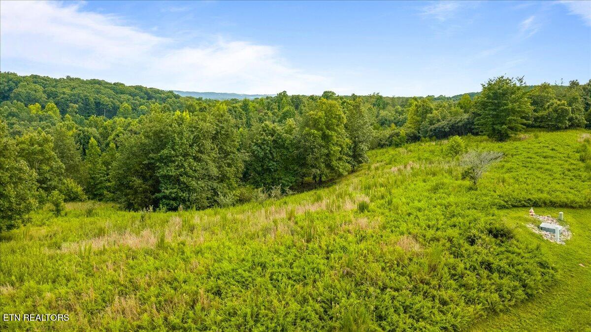 126 Emerald Pointe