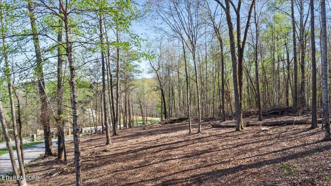 Demory Rd, LaFollette