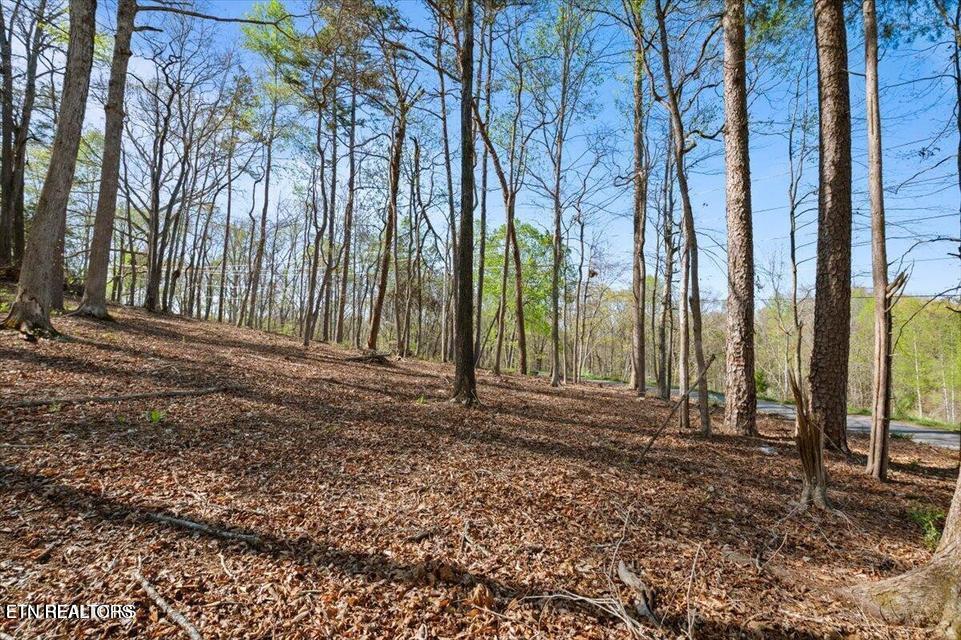 Demory Rd, LaFollette