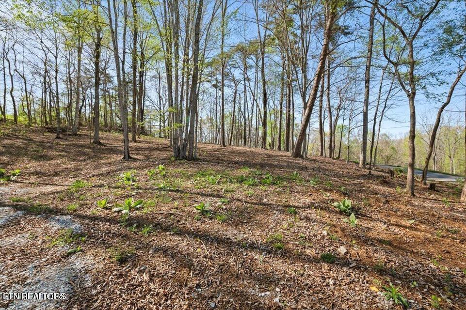 Demory Rd, LaFollette