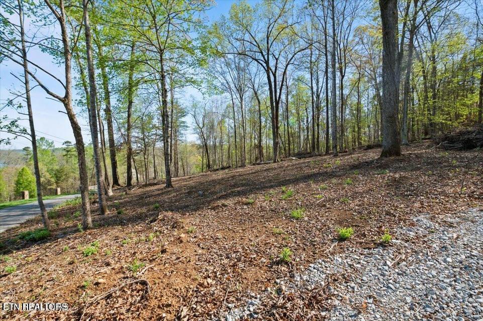 Demory Rd, LaFollette