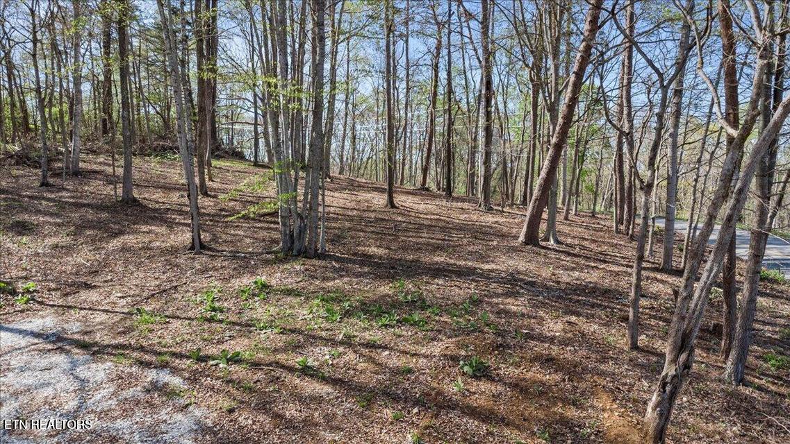 Demory Rd, LaFollette