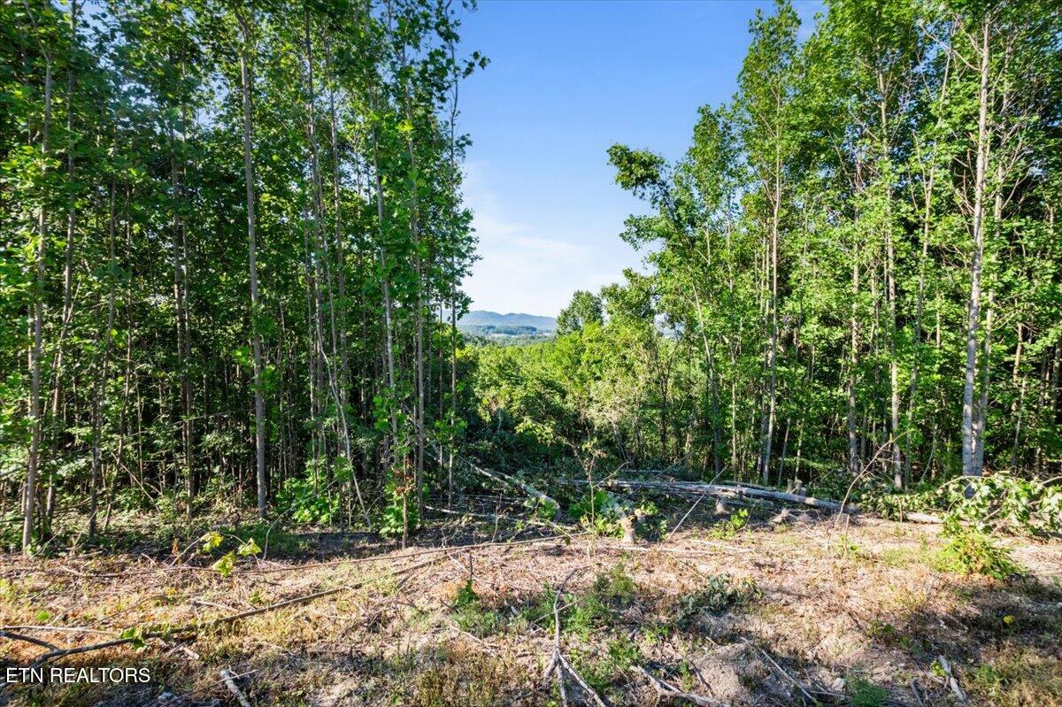 281 Red Oak Circle