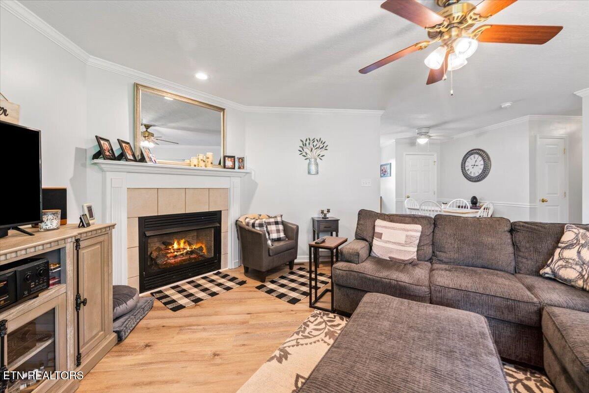 205 Matthew Lane, LaFollette