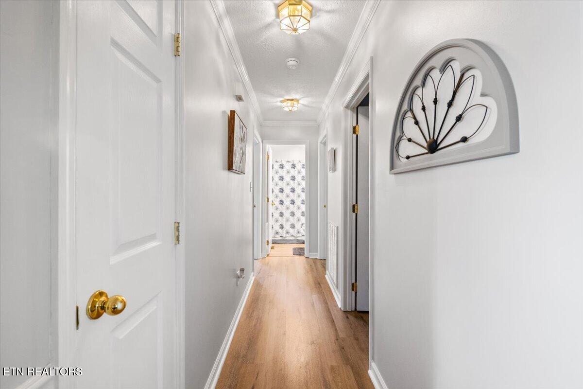 205 Matthew Lane, LaFollette