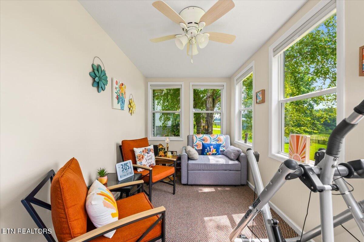 205 Matthew Lane, LaFollette