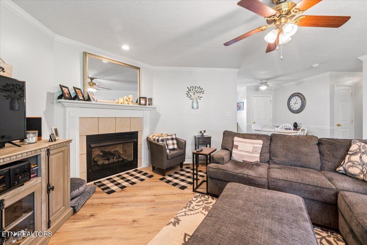 205 Matthew Lane, LaFollette