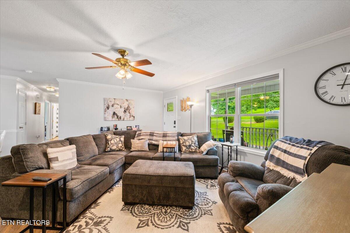 205 Matthew Lane, LaFollette