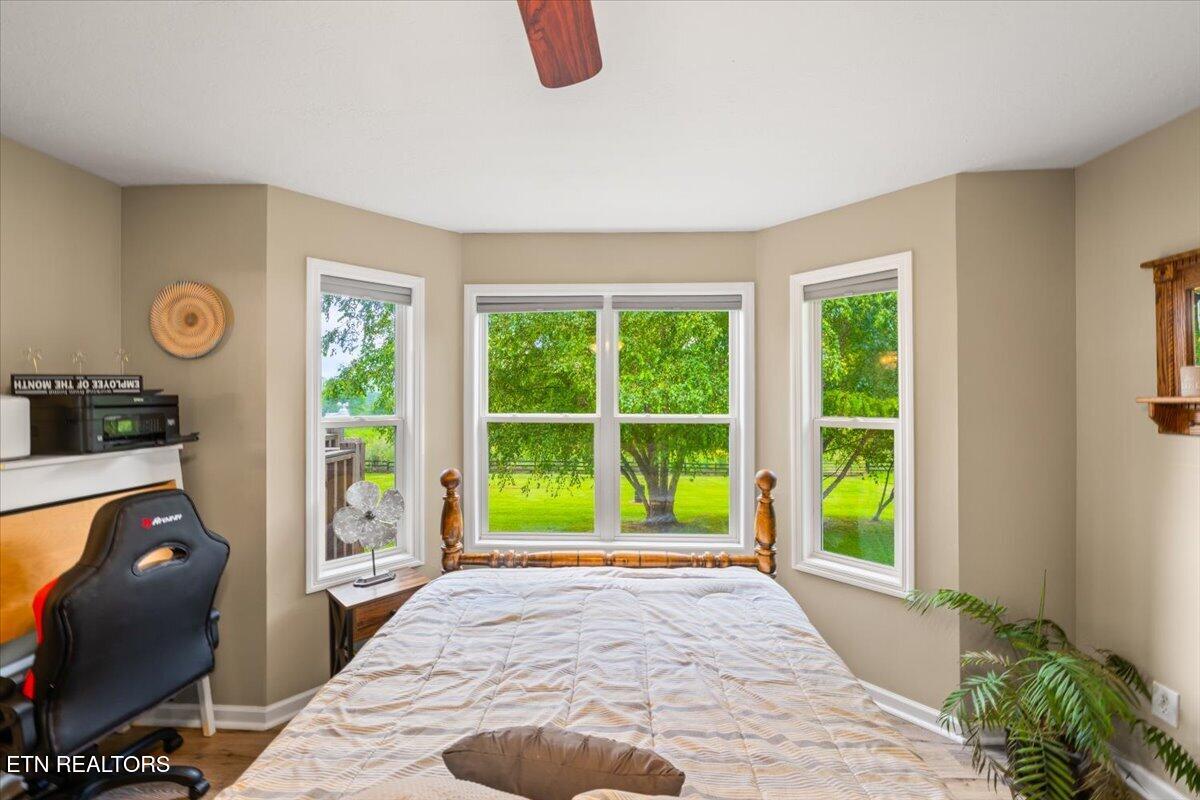 205 Matthew Lane, LaFollette