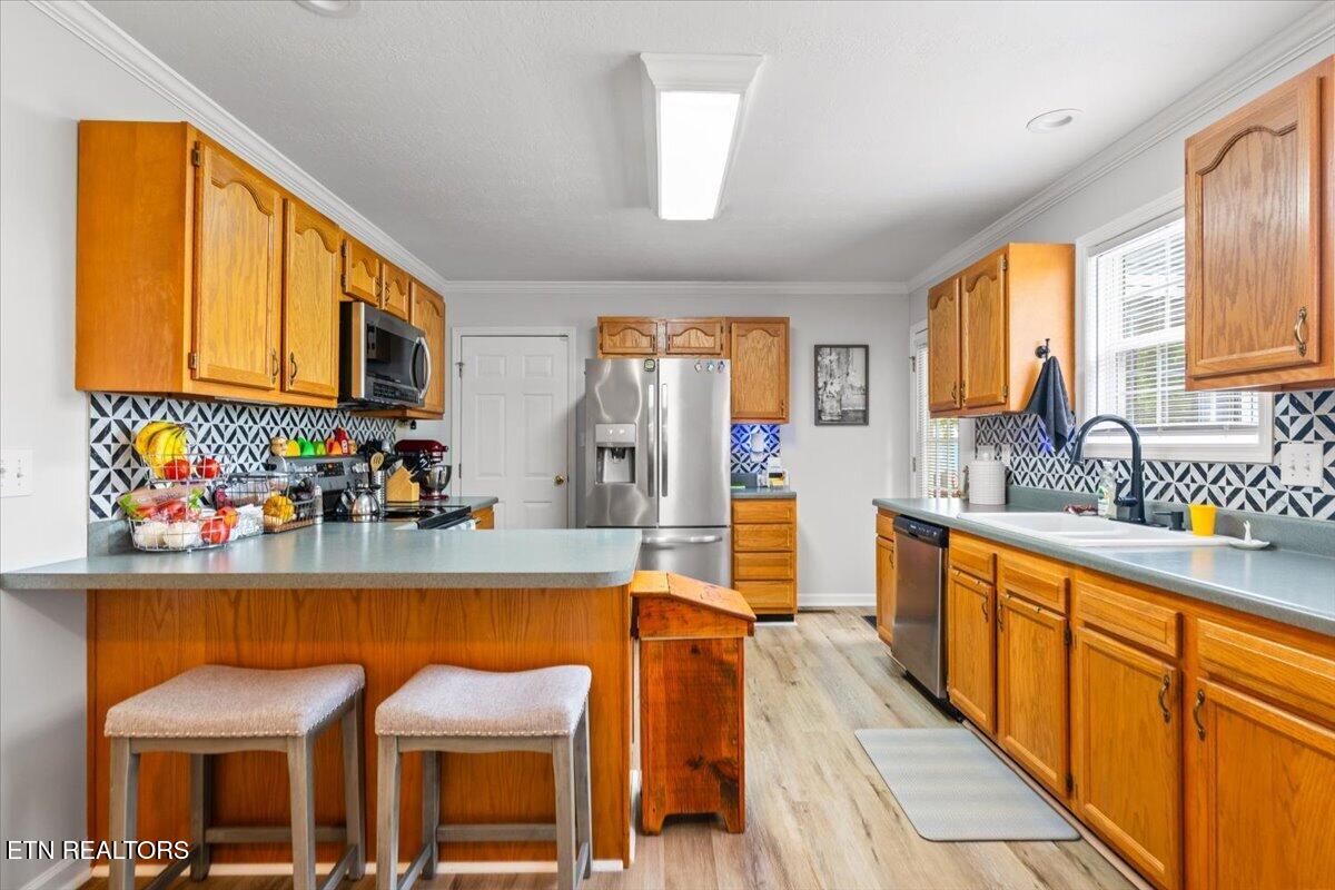 205 Matthew Lane, LaFollette