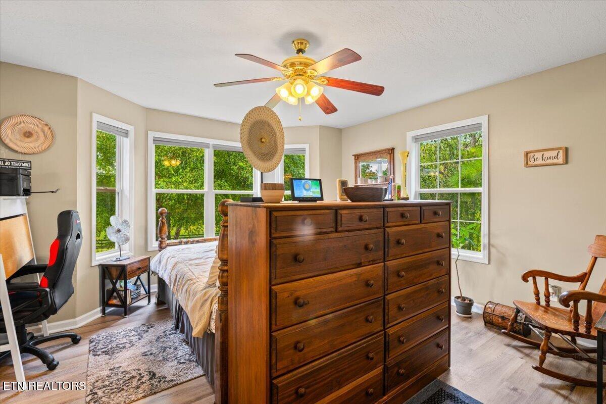 205 Matthew Lane, LaFollette