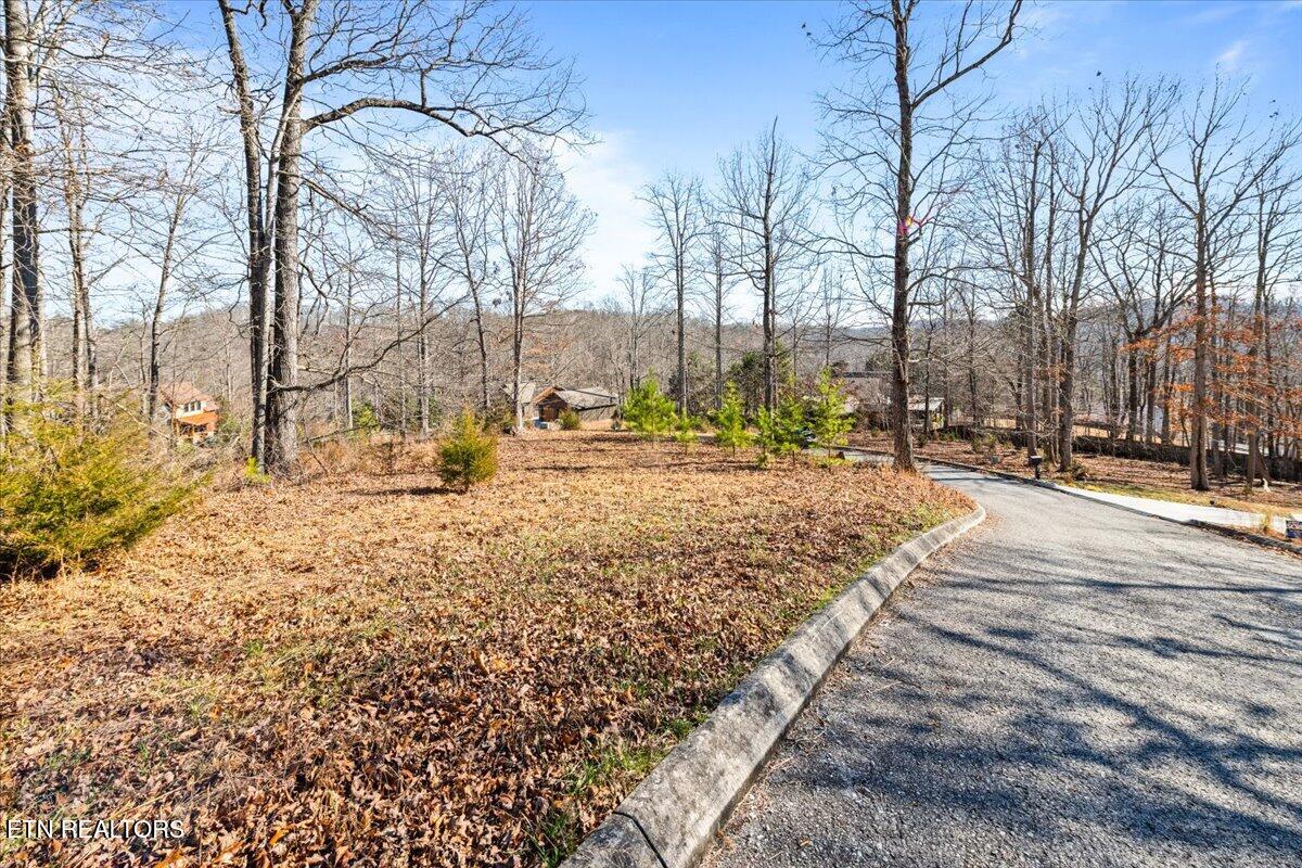 Foxwood Drive