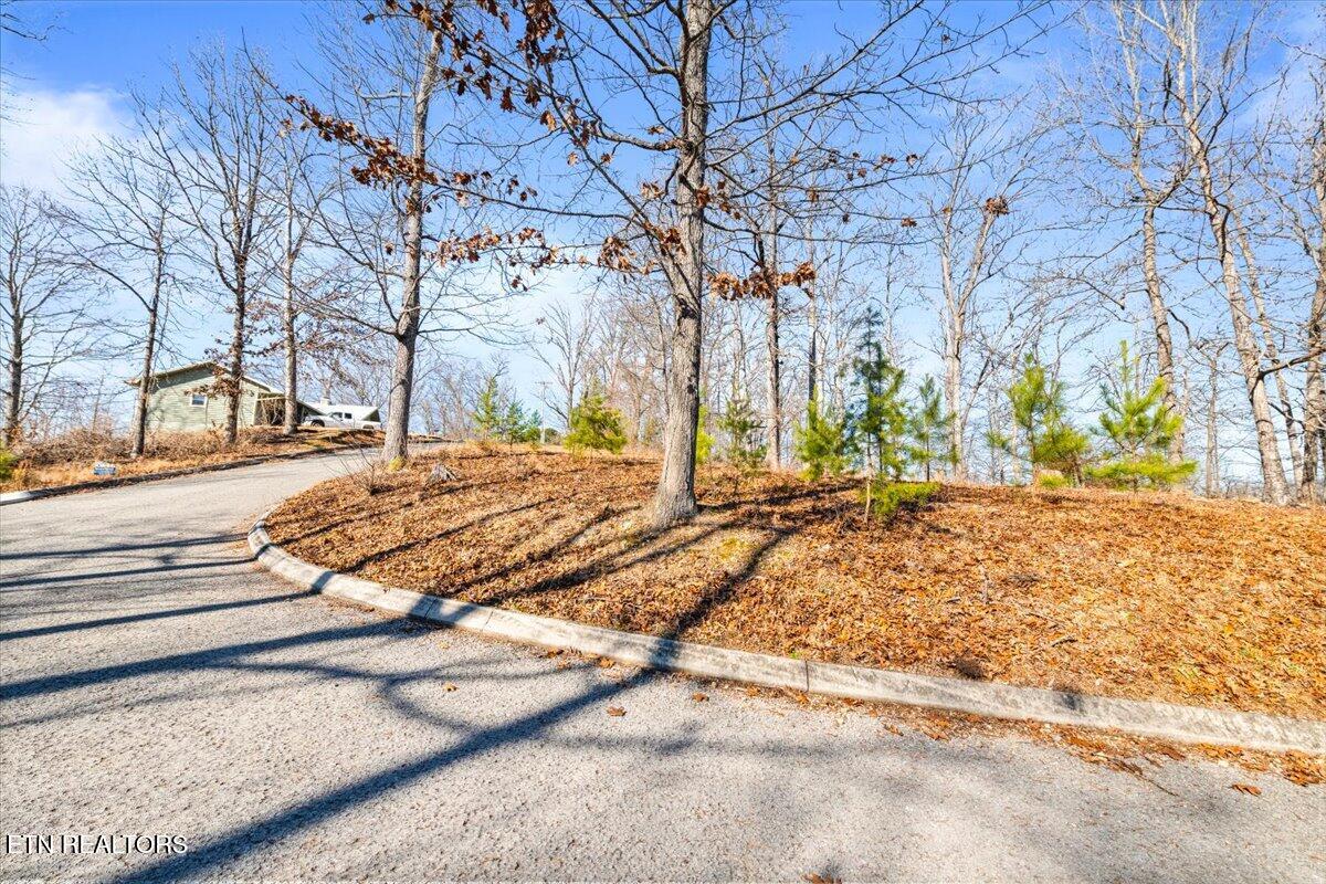 Foxwood Drive
