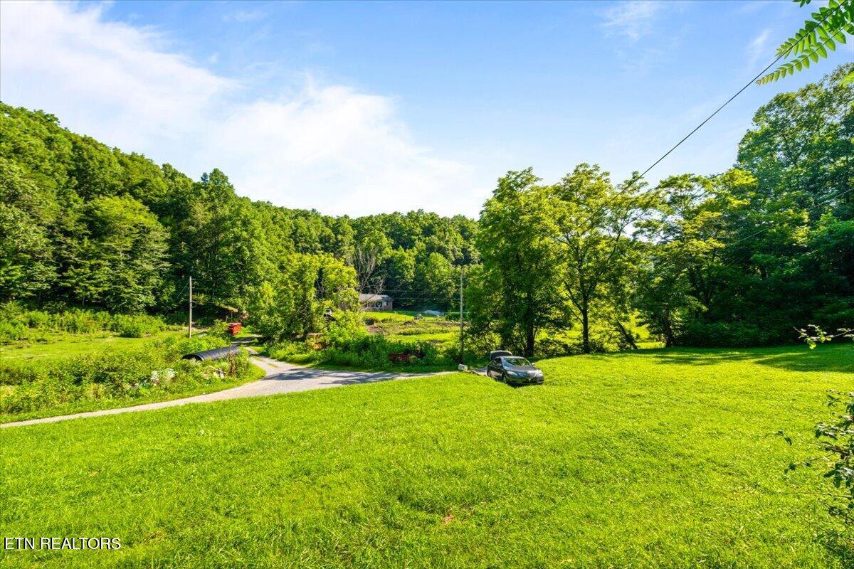 259 Walden Hollow Lane, LaFollette