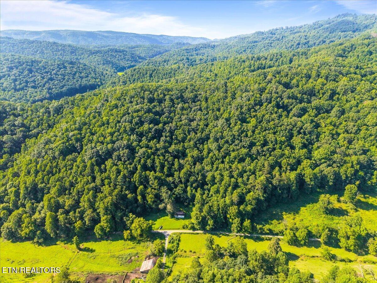 259 Walden Hollow Lane, LaFollette