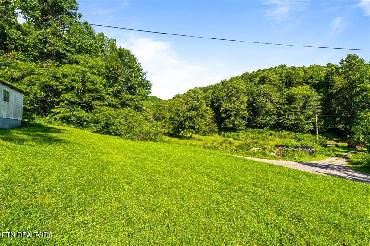 259 Walden Hollow Lane, LaFollette