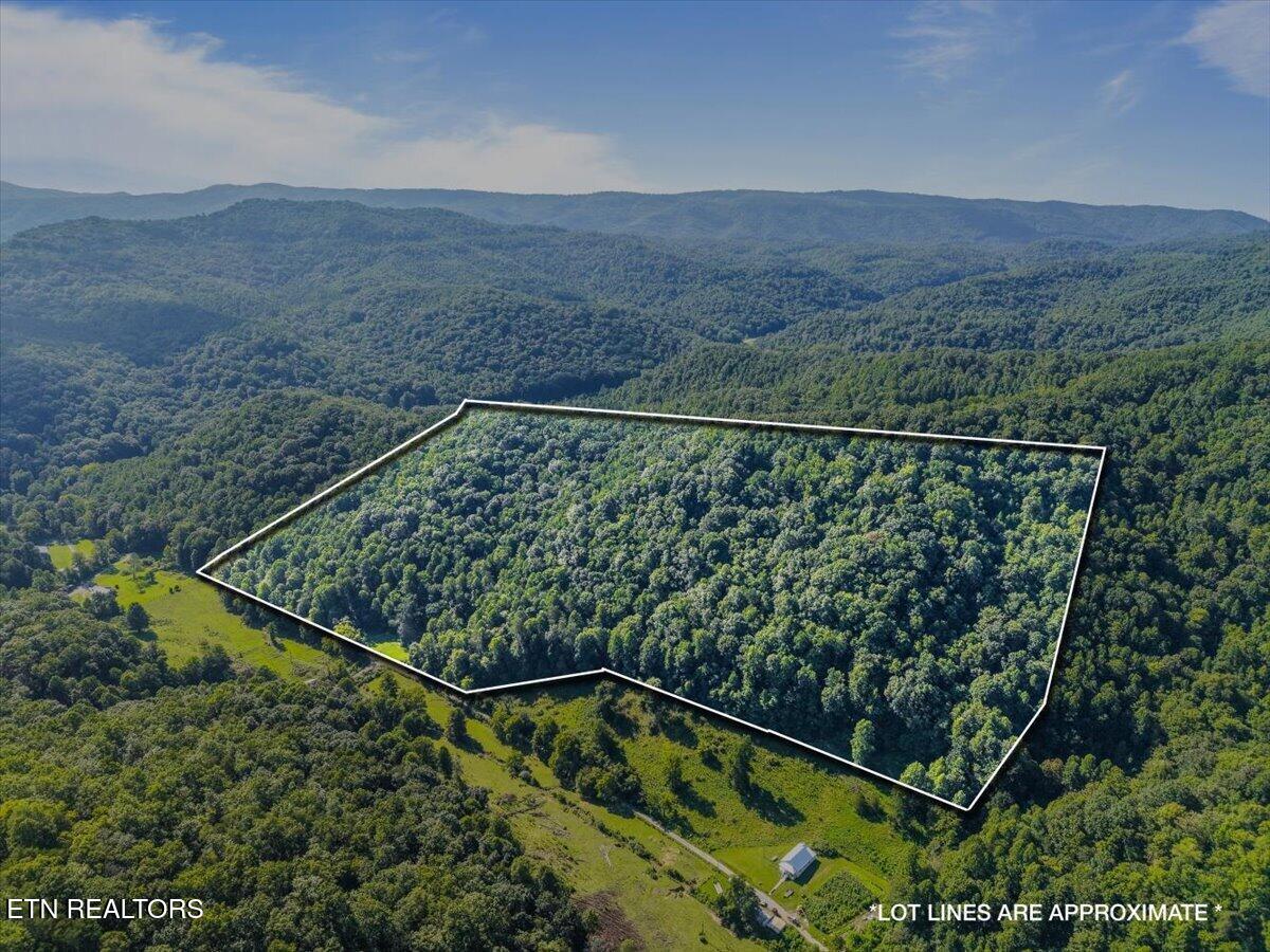 259 Walden Hollow Lane, LaFollette
