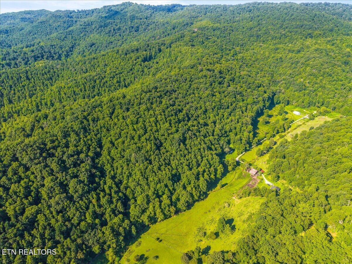 259 Walden Hollow Lane, LaFollette