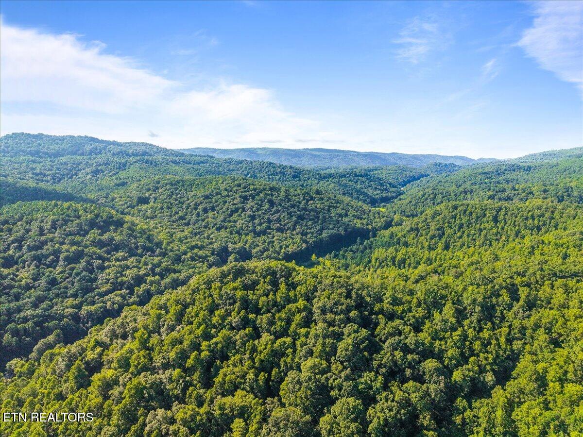 259 Walden Hollow Lane, LaFollette