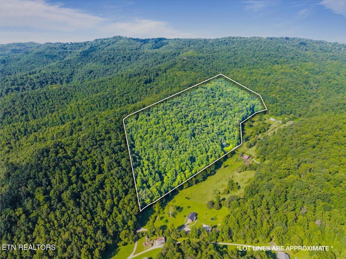 259 Walden Hollow Lane, LaFollette