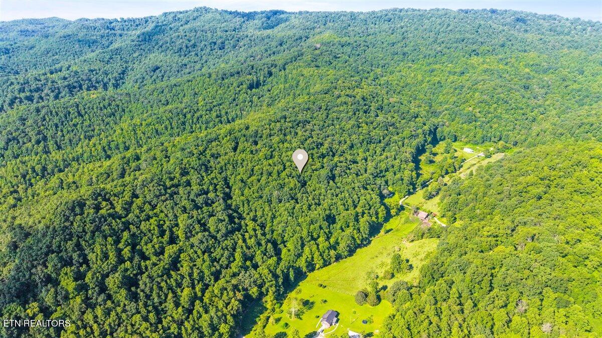 259 Walden Hollow Lane, LaFollette