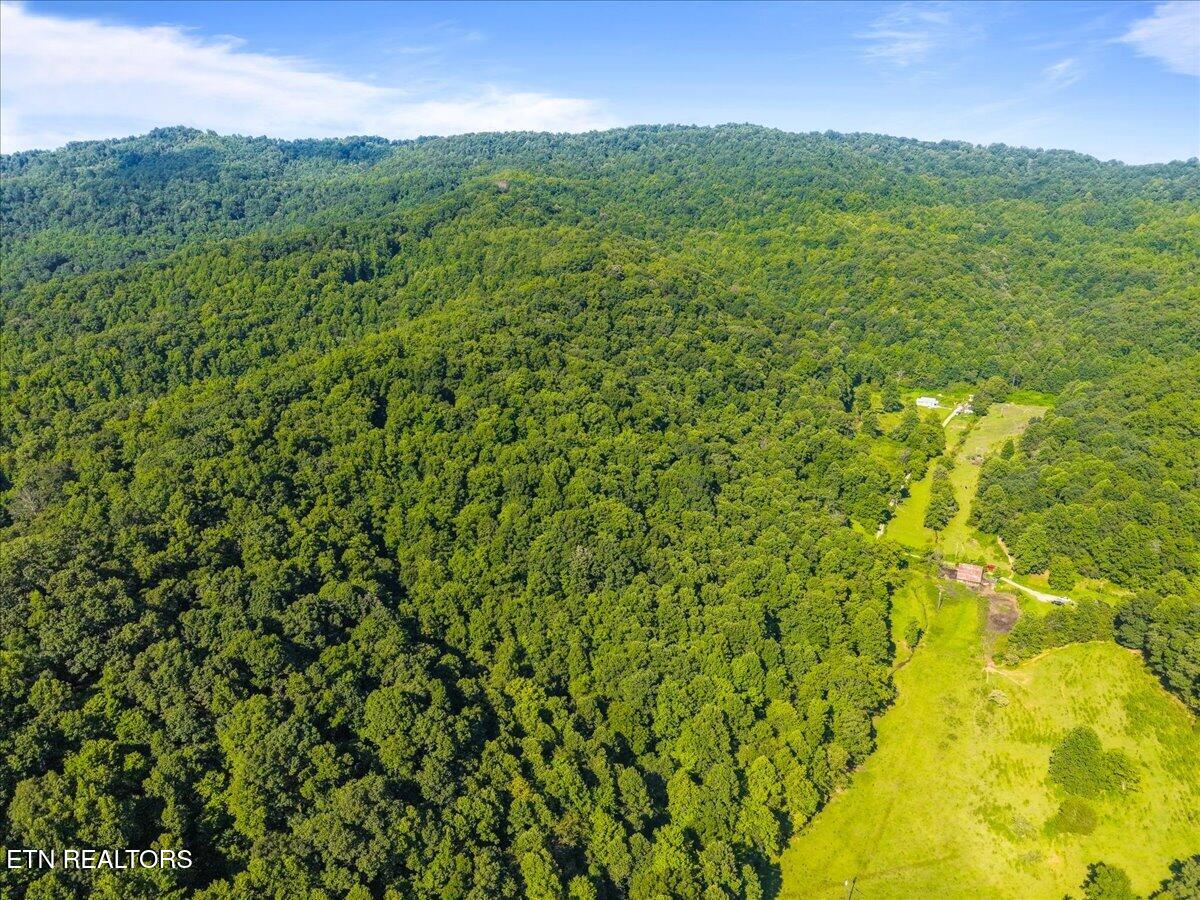 259 Walden Hollow Lane, LaFollette