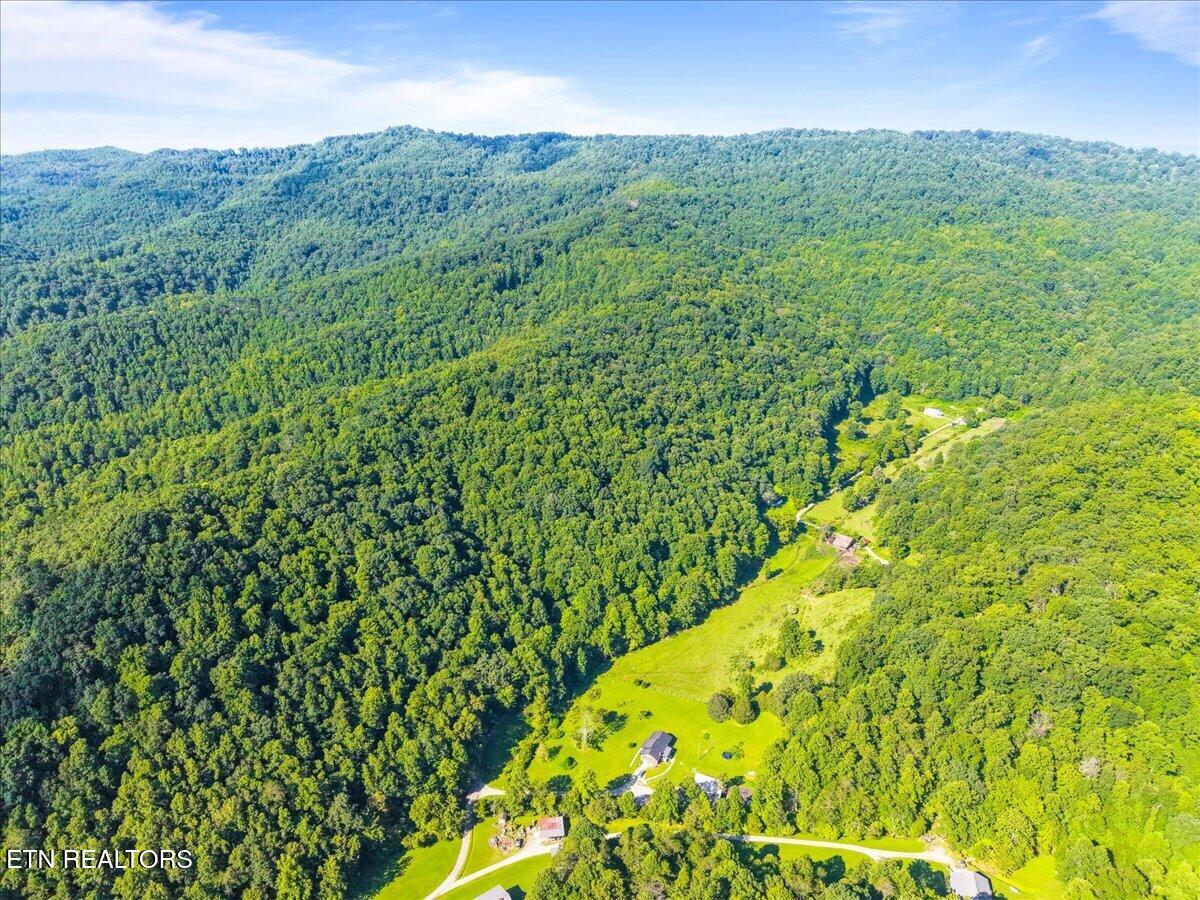 259 Walden Hollow Lane, LaFollette