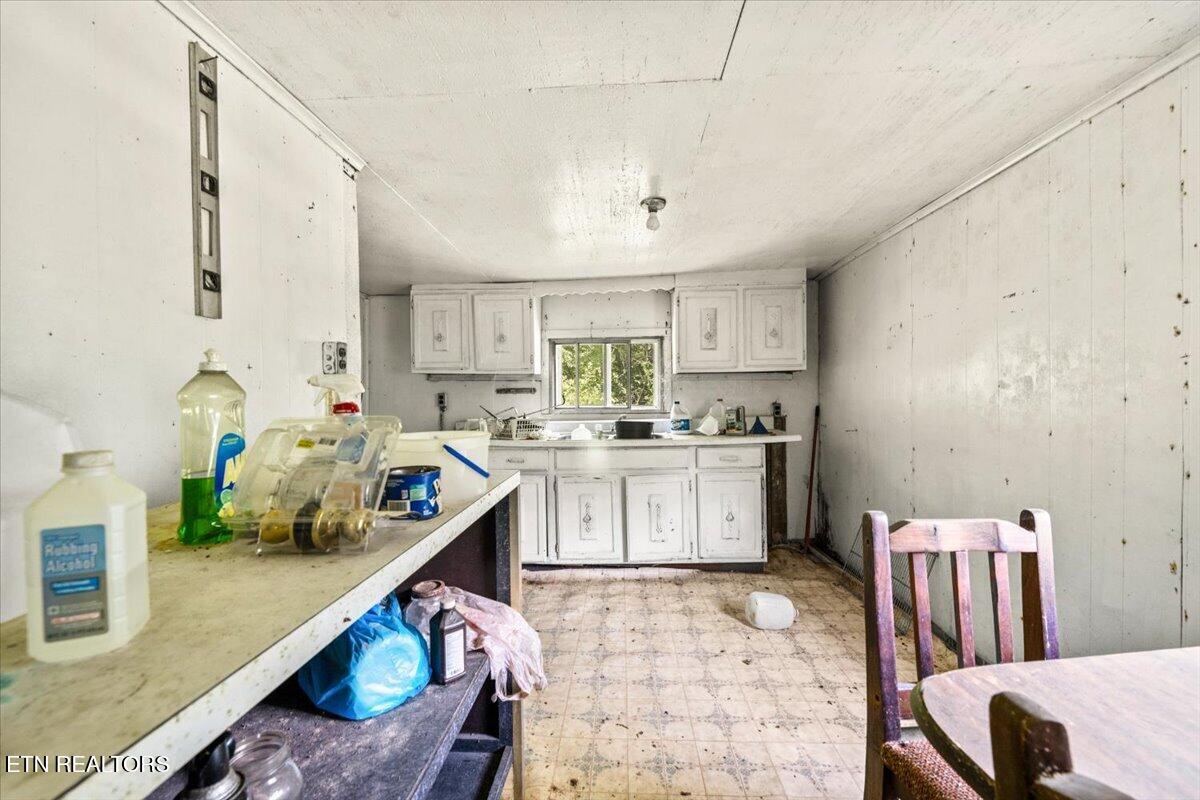 259 Walden Hollow Lane, LaFollette