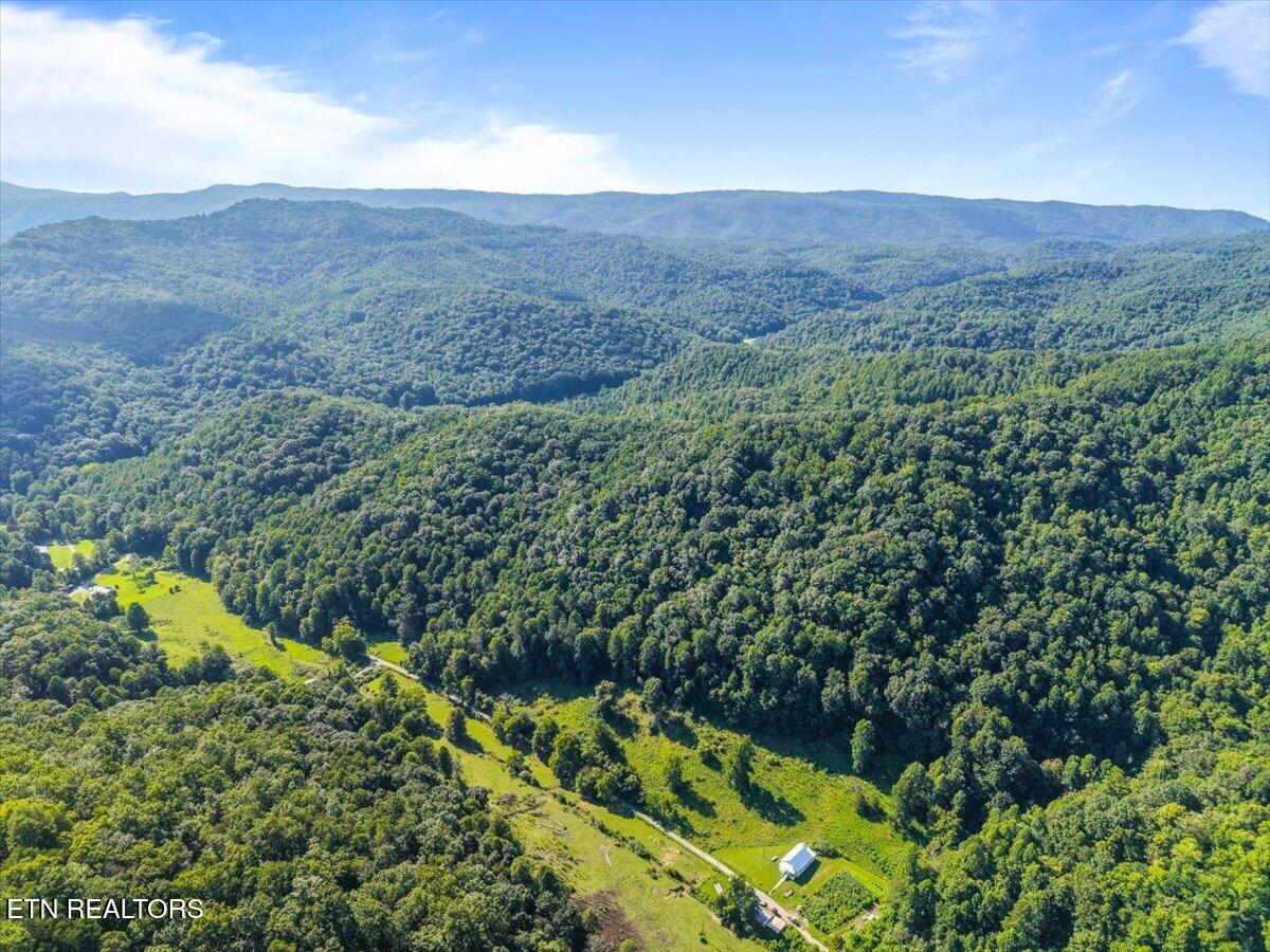 259 Walden Hollow Lane, LaFollette