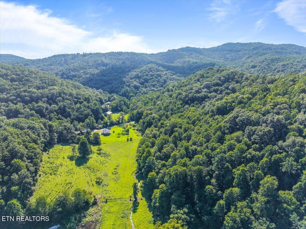 259 Walden Hollow Lane, LaFollette