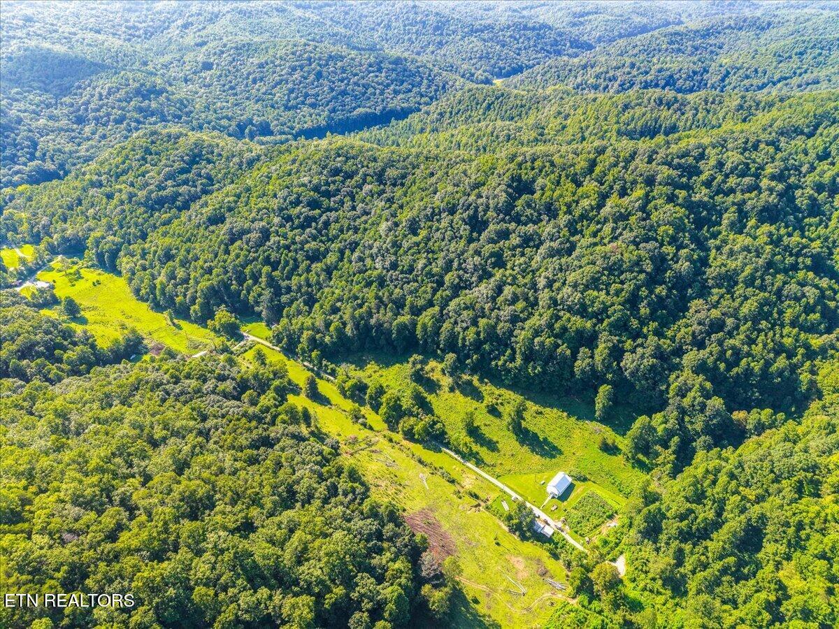 259 Walden Hollow Lane, LaFollette