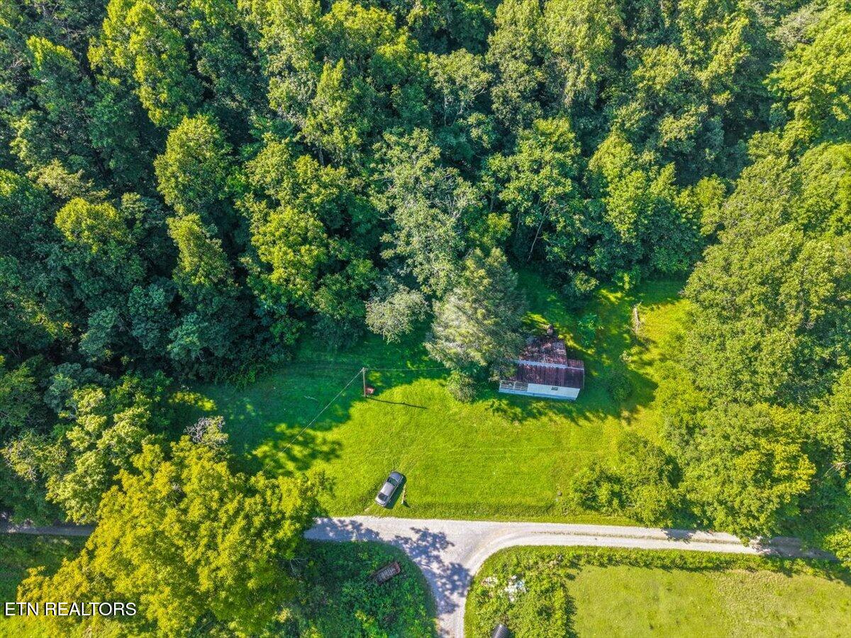 259 Walden Hollow Lane, LaFollette