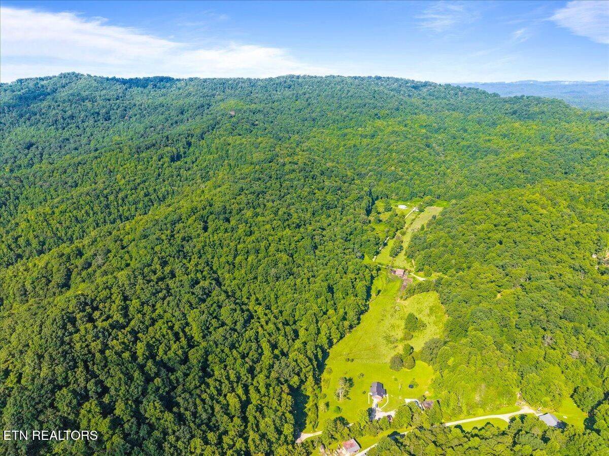 259 Walden Hollow Lane, LaFollette