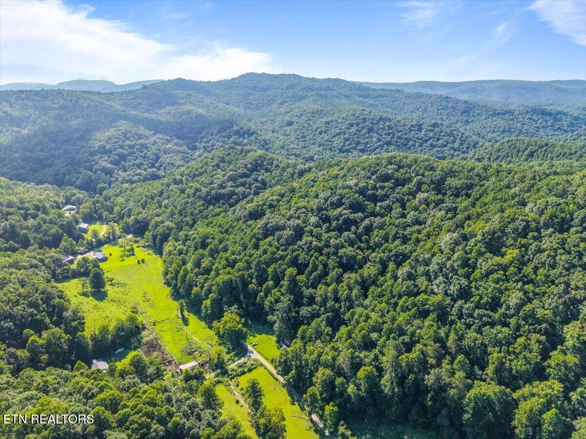 259 Walden Hollow Lane, LaFollette