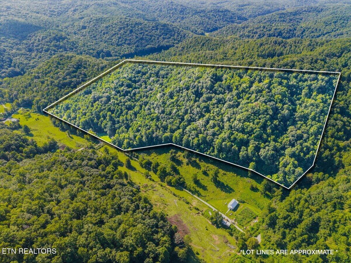 259 Walden Hollow Lane, LaFollette