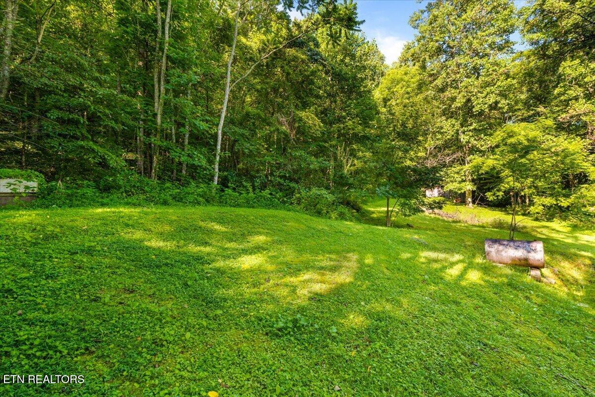 259 Walden Hollow Lane, LaFollette
