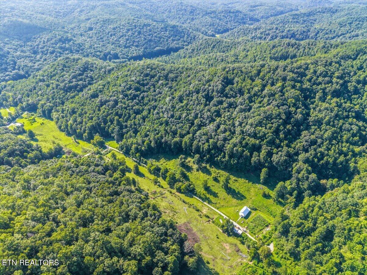 259 Walden Hollow Lane, LaFollette