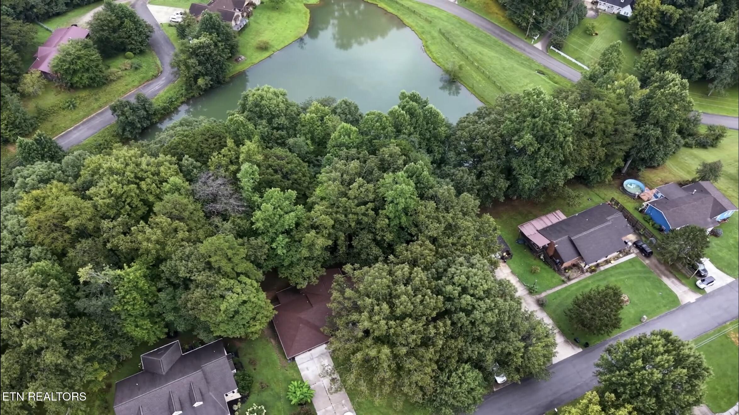 162 Mineral Springs Lane