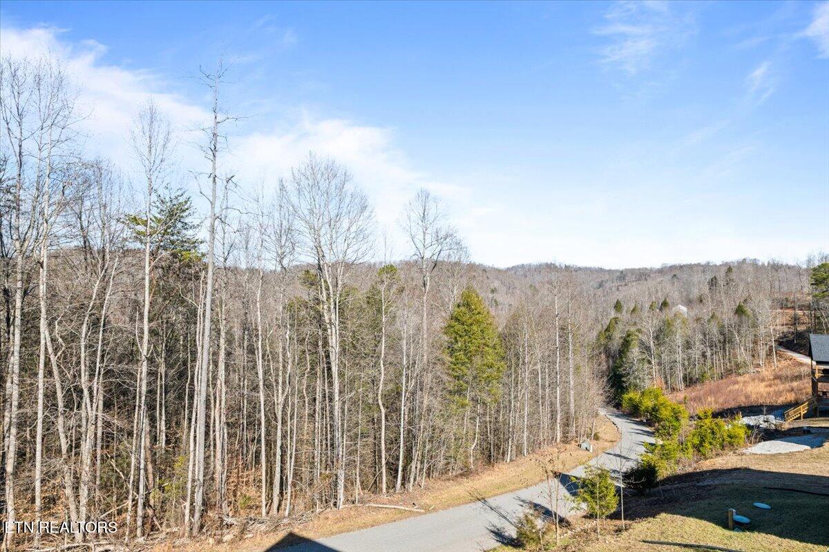 113 Pool Drive, LaFollette