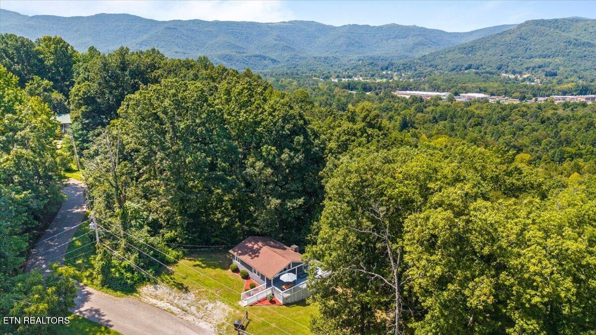 112 Posey Lane