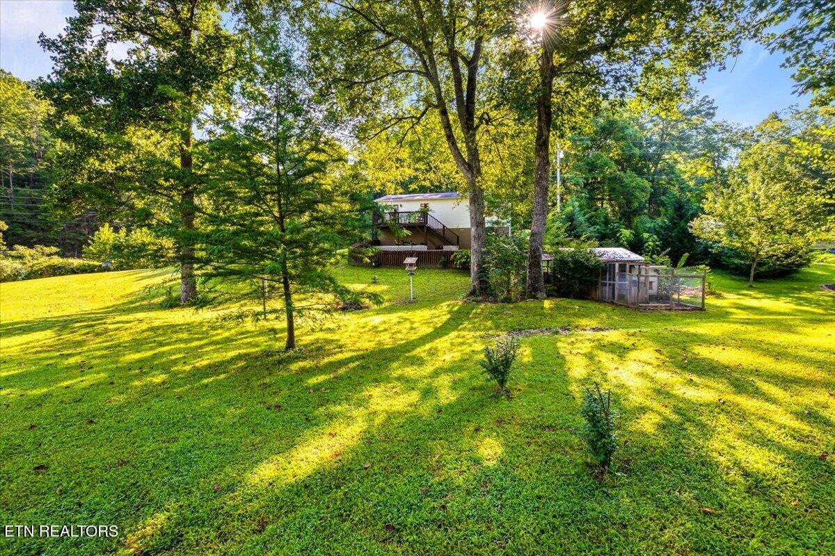 124 Mac Ivey Lane, LaFollette