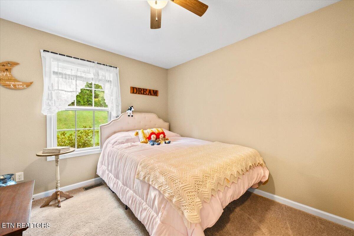 124 Mac Ivey Lane, LaFollette