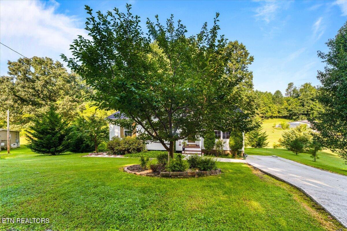 124 Mac Ivey Lane, LaFollette